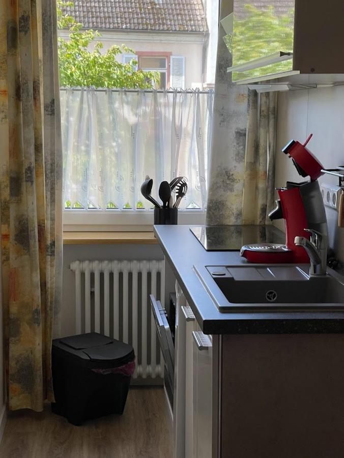 Zum Schwanen Garni Hotell Buggingen Exteriör bild