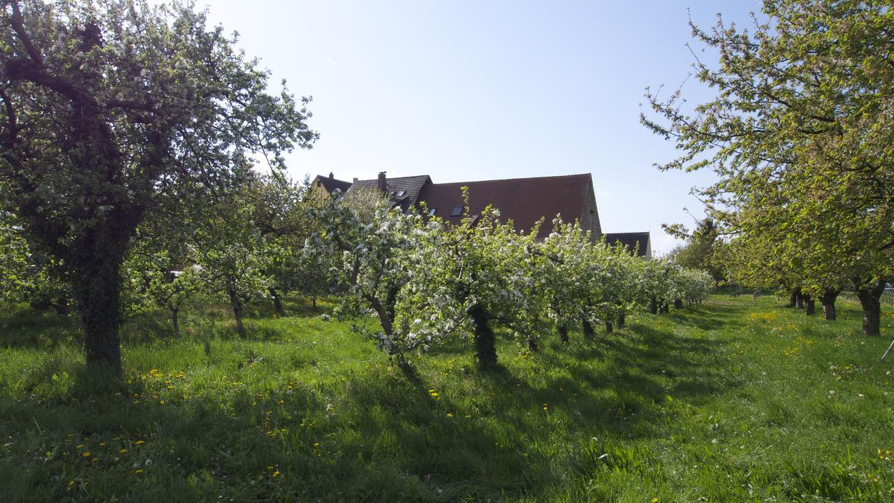 Zum Schwanen Garni Hotell Buggingen Exteriör bild